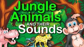 Jungle Animals and their Sounds  learning for kids [upl. by Tudela]