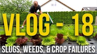 VLOG  18  Slugs Weeds amp Crop Failures [upl. by Fronnia349]