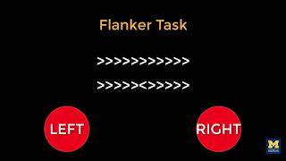 AFNI Tutorial 2 The Flanker Task [upl. by Zantos822]