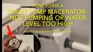 How to Fix a Toilet Macerator not Pumping  Water level too high [upl. by Imhskal]