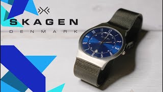 Skagen 233XLTTN Titanium Watch Review SKU 8077131 [upl. by Abrams]