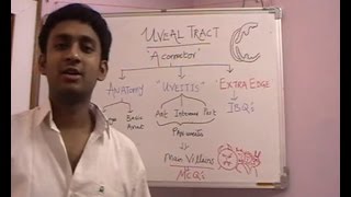 Lecture 3 Uveal Tract Part 1 [upl. by Isdnyl]