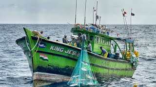 Ohhh The Sevanth Day We Stayed In The Deep Sea And Caught A Lot Of Tuna Fishes  Day07  S05EP08 [upl. by Idham109]