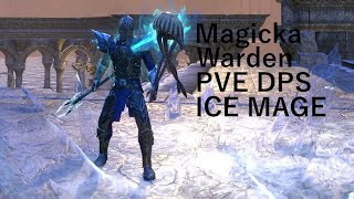 ESO Magicka Warden PVE DPS Ice Mage STONETHORN NO TRIAL SETS [upl. by Aicilyt]