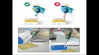 Correct Way During Working with Micropipette [upl. by Tlihcox]