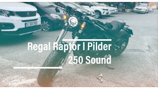 Regal Raptor Pilder 250 Sound l Custom [upl. by Vasileior]