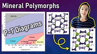 Mineral Polymorphism amp PT Diagrams Mineralogy  GEO GIRL [upl. by Manheim23]