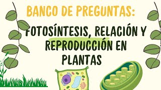 Práctica de biología Fotosíntesis relación y reproducción en plantas [upl. by Hernardo487]