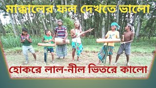 মাক্কালের ফল দেখতে ভালো ।। হোক রে লালনীল ভিতরে কালো ।। Makkaler fol dakhte valo পিটু ভাই [upl. by Alemaj]