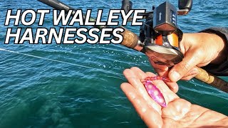 HOT walleye BITE Walleye fishing TIPS and TECHNIQUES [upl. by Dorie]