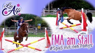 Lia amp Alfi  FMA am Stall  HalsringReiten [upl. by Lednor]