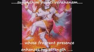 Mantra with English subtitles Sri Mrityunjaya Mantra  Rig Veda [upl. by Deyas]