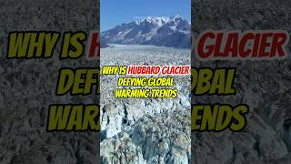 Why is Hubbard Glacier defying global warming trends thewwinsight viralvideo shortvideo trending [upl. by Intruoc176]