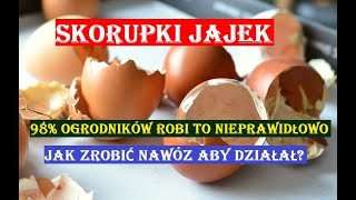 NAWÓZ ZE SKORUPEK JAJEK PRAWIE WSZYSCY ROBIĄ TO NIEPRAWIDŁOWO [upl. by Winshell]