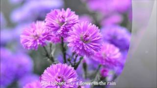 FLOWER IN THE RAIN by Jaci Velasquez with lyrics [upl. by Maryjane]