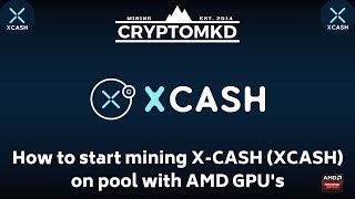 How to start mining XCASH XCASH on pool with AMD GPUs [upl. by Adnir]