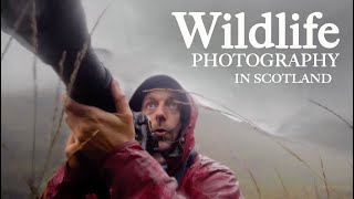 PHOTOGRAPHING WILD STAGS in SCOTLAND and meeting Adam from First Man Photography [upl. by Ttenaj]