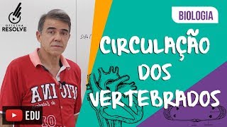 Circulação dos Vertebrados Vai cair no ENEM [upl. by Ynnod]