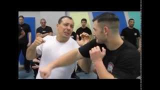 Amir Perets special Krav Maga Seminar in Germany [upl. by Errecart]