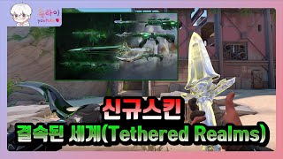 신규스킨 결속된 세계Tethered Realms 소개영상 l 발로란트 츄라이 [upl. by Tiersten]