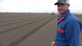 Lettuce Production in the Salinas Valley [upl. by Akeimahs]