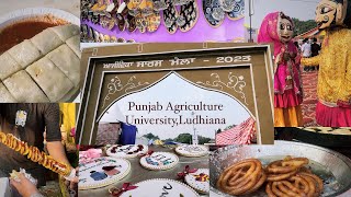 SARAS MELA 2023  ਸਾਰਸ ਮੇਲਾ  pau ludhiana [upl. by Acirdna]