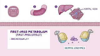 PHARMACOKINETICS drugs absorption ampDistribution medicoknowledge [upl. by Tormoria]