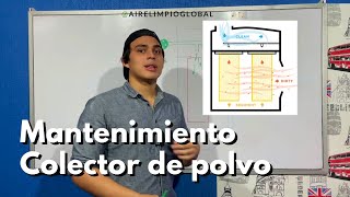 ¿Cómo funciona un colector de polvo  Con filtros de cartucho o mangas [upl. by Acker670]