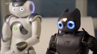 Des robots pour les enfants autistes  FutureMag [upl. by Margo]