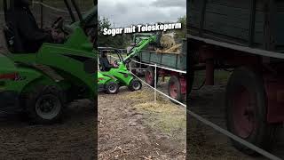 Klein aber fein landwirtschaft farming hoflader radlader avant weidemann pferde ausmisten [upl. by Maiocco78]