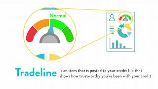 How do Tradelines Work [upl. by Anneehs]