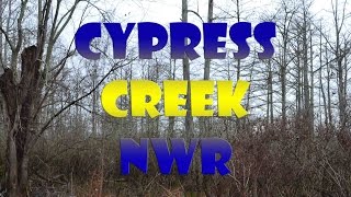 Exploring Cypress National Wildlife Refuge Episode 1 [upl. by Daiz823]