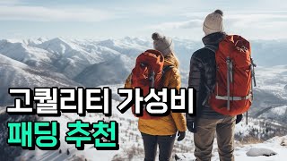 퀄리티 좋은 가성비 패딩 추천⎪10만원 미만 부터 40만원 까지 feat ACG 루나레이크 [upl. by Lydie867]