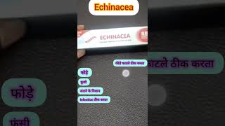 Echinacea ointment homoeopathic in Hindi for wound boil insect biteburn antiseptic cream shorts [upl. by Lonnie]