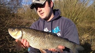 Ledgering For Chub On Norfolks River Wensum [upl. by Hungarian]