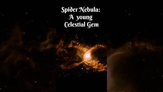 The Spider Nebula A Celestial Gem space alienlife facts [upl. by Gurango]