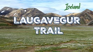 Laugavegur Trail 2017 Iceland [upl. by Aniale257]