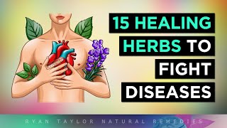 15 Most POWERFUL Medicinal Herbs To Heal Your Body [upl. by Alit]