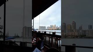 restaurante miami piano automobile travel florida usa nature skyline geography bayfront [upl. by Darrill]