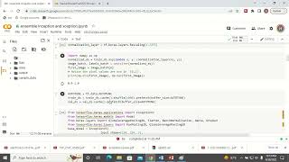 Python Code for Ensemble Model for Image Classification [upl. by Asalocin218]