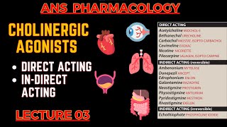 Cholinergic Agonists  Parasympathomimetic Drugs  Direct Acting amp indirect acting  L3 [upl. by Nytsua755]