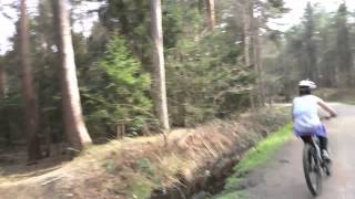 Cycling In Delamere Forest [upl. by Akierdna]