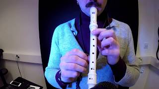 How to play Titanic on flute  recorder [upl. by Aidnac]