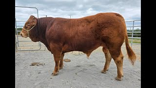 LOT 32  SCEA PLANTUREUX  36 BARAIZE [upl. by Nosnevets]