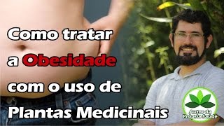 Como tratar a Obesidade com o uso de Plantas Medicinais [upl. by Moyra]