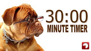 30 Minute Timer for PowerPoint and School  Alarm Sounds with Dog Bark [upl. by Sevik]