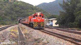 Taiwan Railway 台灣鐵路 台湾・単線非電化屏東 南迴段 01 HD [upl. by Sidwohl29]