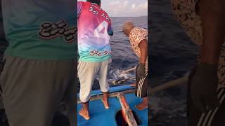 വലിയ കേര പിടിക്കുന്നത് കണ്ടാലോshortsfeed youtubeshorts fishing malayalamfishing biggfish [upl. by Aisena]