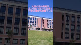 やまと大学突入！ [upl. by Lower967]