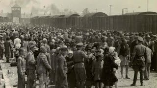 Álbum de Auschwitz las pruebas fotográficas del Holocausto [upl. by Sandy]